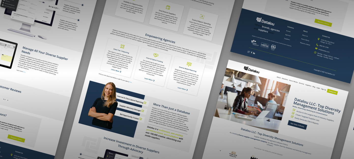 datalou-middle-banner web design company austin