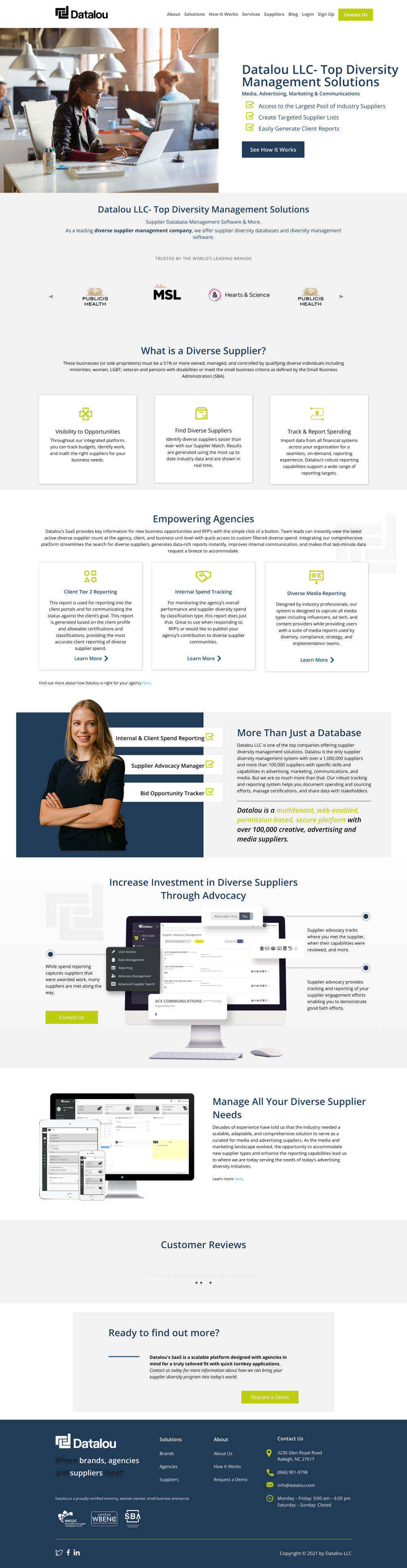 datalou-website-mockup web design company austin