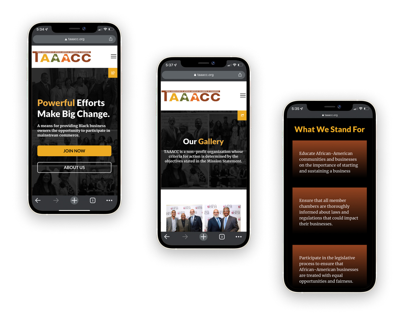taaacc-bottom-phone-image website development austin texas