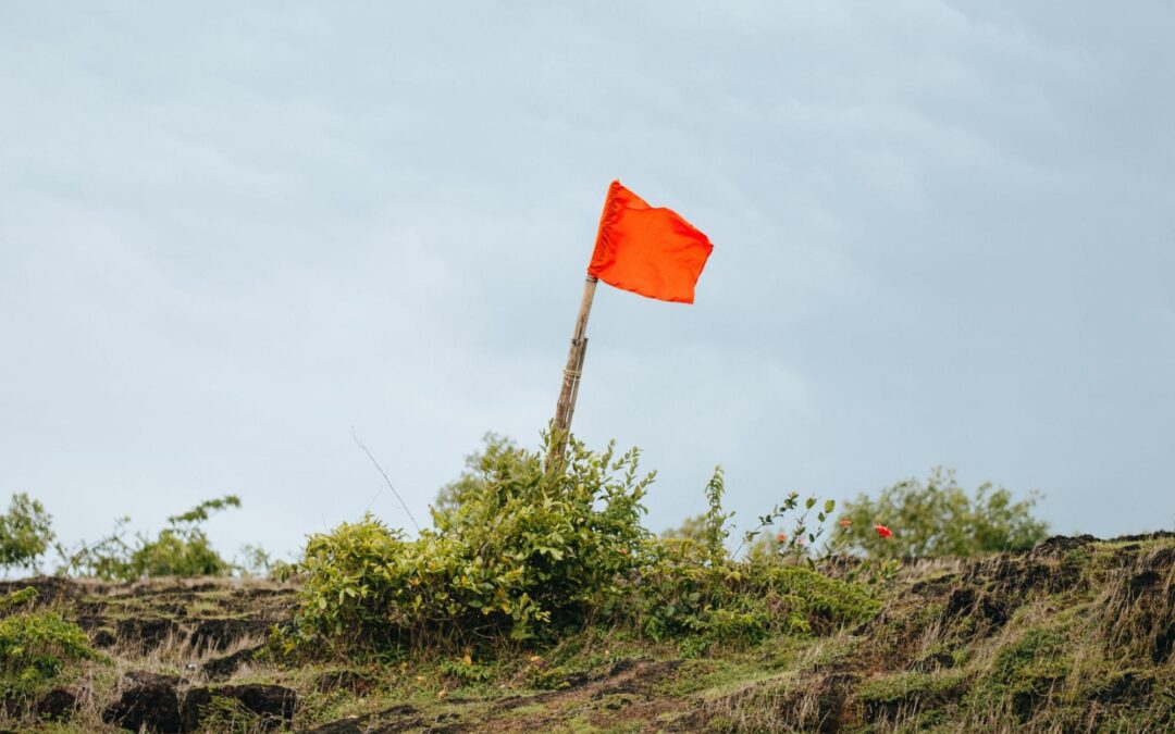 Watch Out for These Red Flags From Your Web Designer