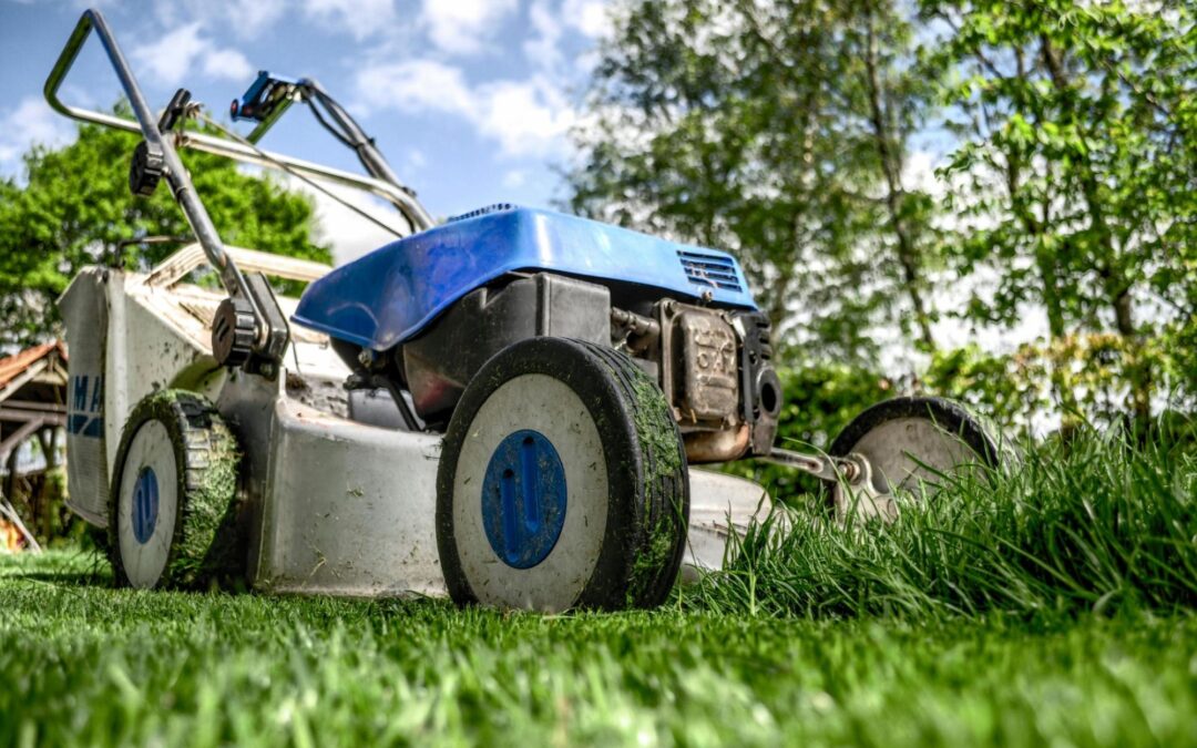 The 7 Best Email Marketing Tips for Landscaping Companies