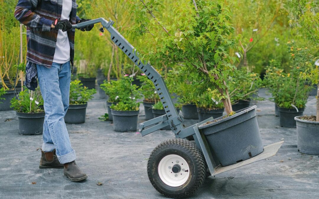 Top SEO Keywords for Landscaping Companies in Austin